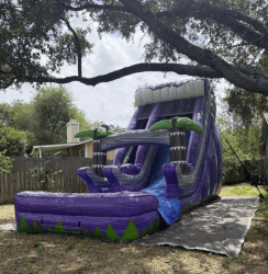 Purple Paradise Tropical Slide
